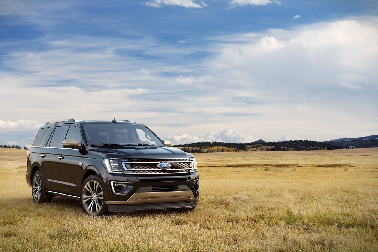 2020 Ford Expedition | Sunset Ford | St. Louis, MO